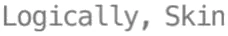 Logically Skin logo